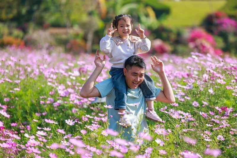 春回大地万物竞发;各地探索赏花新路径;春日经济活力持续释放。 文化旅游