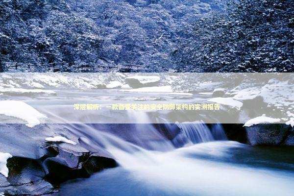 深层解析：一款备受关注的安全防御架构的实测报告 IT技术