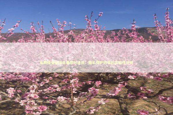 从网络安全视角看即时通讯:隐私保护效率的实验性分析 从网络安全视角看即时通讯:隐私保护效率的实验性分析 IT技术