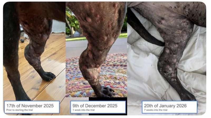  春季防疫趋势：麻疹输入风险与免疫屏障构建 新闻