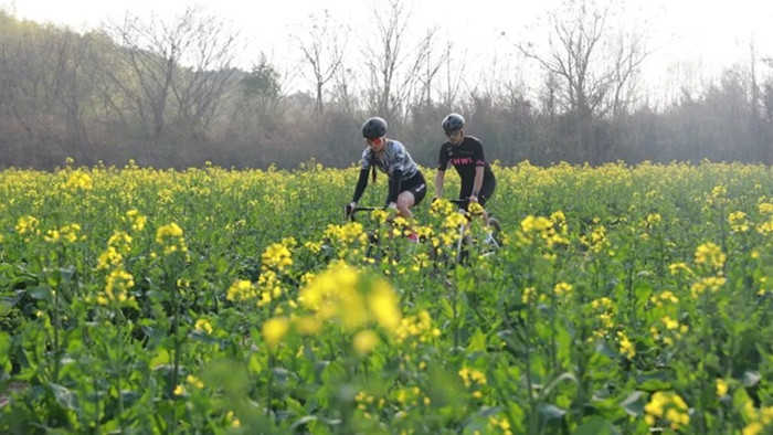  春假真的能拯救淡季民航吗？深度拆解“反向出逃”背后的市场逻辑 新闻