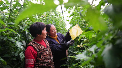  巷弄里的财富密码：杭州人均收入跨越门槛后的新叙事 新闻