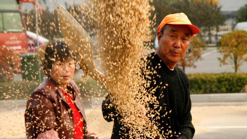  巷弄里的财富密码：杭州人均收入跨越门槛后的新叙事 新闻