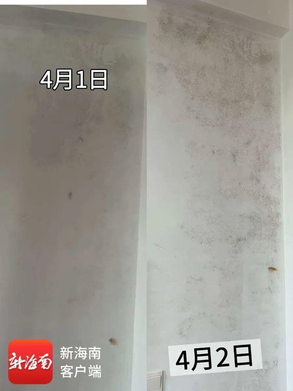  外墙渗漏困局：海口老旧小区防水工程失效的全链条技术复盘 房产家居