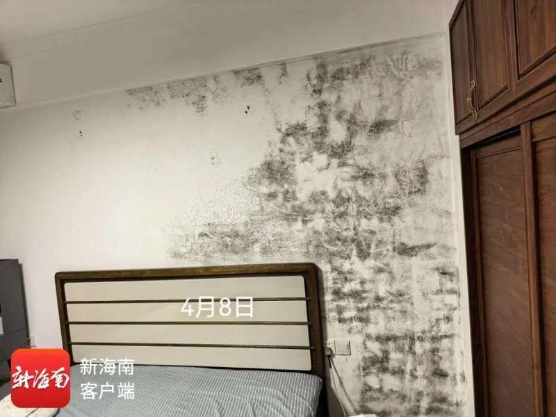  外墙渗漏困局：海口老旧小区防水工程失效的全链条技术复盘 房产家居