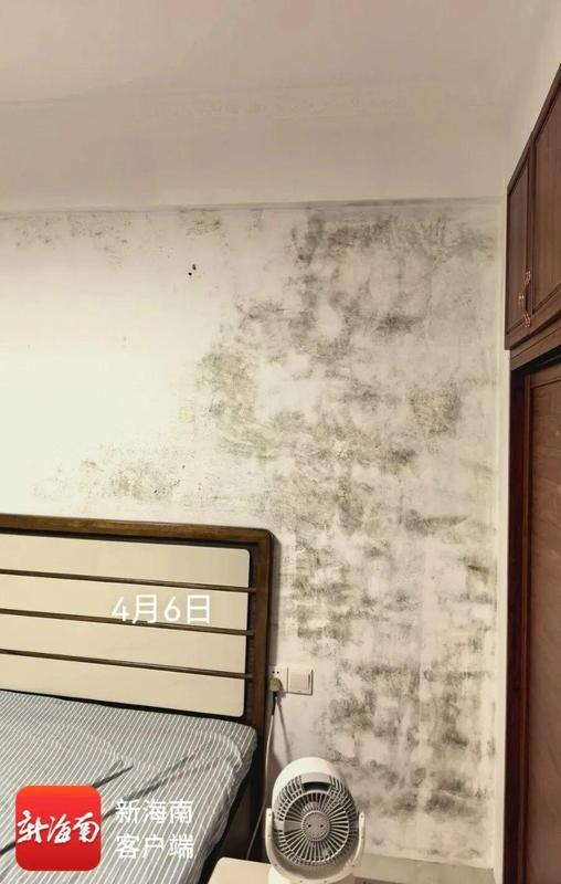  外墙渗漏困局：海口老旧小区防水工程失效的全链条技术复盘 房产家居