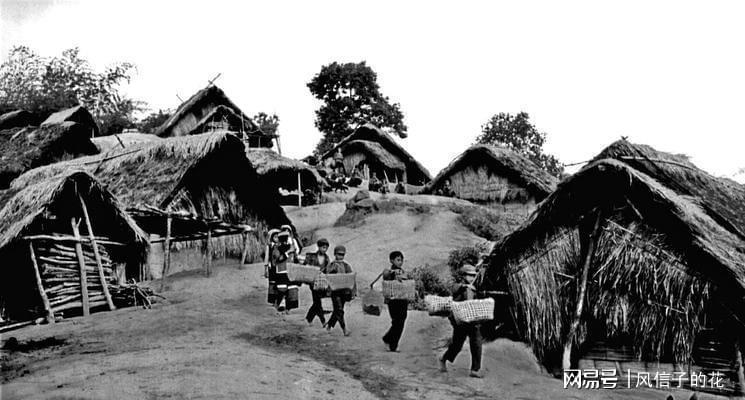  【田野调查】云南哀牢山苦聪人族群发现始末：1956年边境巡逻的意外收获 文化旅游