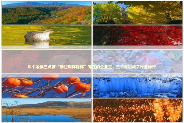 那个凌晨三点被“请证明你是你”难住的企业主，三个月后成了行业标杆 企业服务