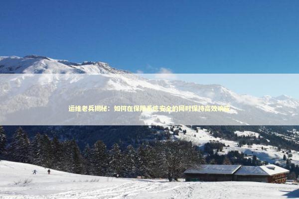 运维老兵揭秘：如何在保障系统安全的同时保持高效响应 IT技术