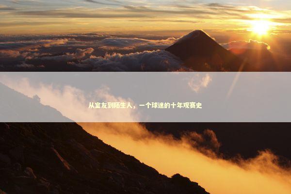 从室友到陌生人，一个球迷的十年观赛史 体育新闻