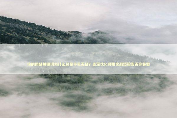 你的网站关键词为什么总是不见天日？资深优化师用实战经验告诉你答案 IT技术