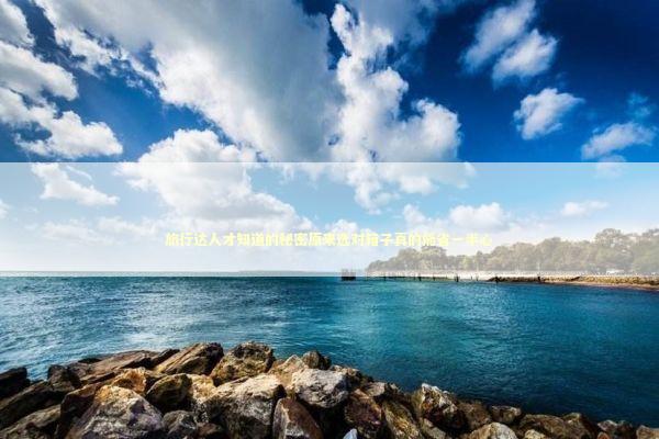 旅行达人才知道的秘密原来选对箱子真的能省一半心 时尚用品